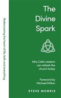 The Divine Spark (Paperback)