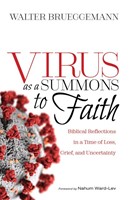 Virus as a Summons to Faith (Paperback)