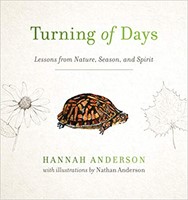 Turning of Days (Paperback)
