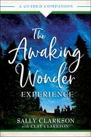 The Awaking Wonder Experience (Paperback)