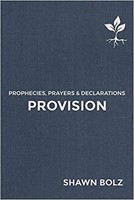 Provision (Hard Cover)