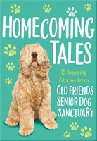 Homecoming Tales (Paperback)