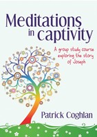 Meditations in Captivity (Paperback)
