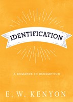 Identification (Paperback)