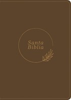 Santa Biblia RVR60, Edición zíper con referencias, letra gra