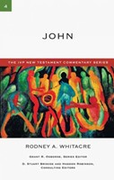 John (Paperback)