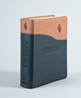 NIV Fire Bible Global Study Edition (Imitation Leather)