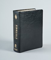 NIV Fire Bible Global Study Edition (Genuine Leather)