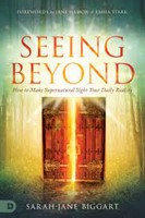 Seeing Beyond (Paperback)