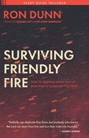 Surviving Friendly Fire (Paperback)
