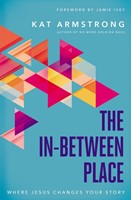 The In-Between Place (Paperback)
