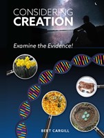 Considering Creation (Paperback)