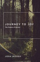 Journey To Joy (Paperback)