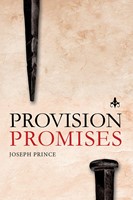 Provision Promises (Paperback)