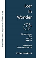 Lost in Wonder (Paperback)