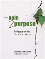 From Pain 2 Purpose (Paperback)