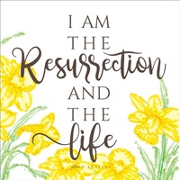 Easter Life Cards (pack of 5) (Cards)