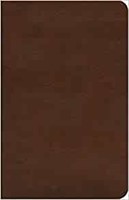 ESV Concise Study Bible™ (TruTone) (Imitation Leather)