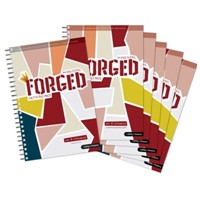 Forged: Faith Refined, Volume 8 (pack of 5) (Kit)