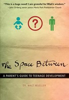 The Space Between (Paperback)