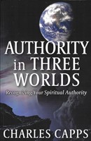 Authority in Three Worlds (Paperback)