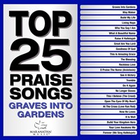 Top 25 Praise Songs: Graves into Gardens 2CD (CD-Audio)
