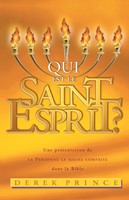 Who is The Holy Spirit? (French) (Paperback)