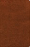 NASB Large Print Personal Size Reference Bible, Burnt Sienna (Imitation Leather)