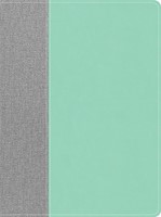 Lifeway Women's Bible, Gray/Mint LeatherTouch, Indexed (Imitation Leather)