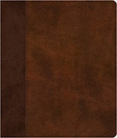 ESV Journaling Bible, Brown/Tan, Timeless Design (Imitation Leather)