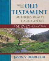 What the Old Testament Authors Really Cared About (Hard Cover)