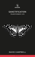 Sanctification (Paperback)