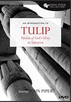Tulip DVD (DVD)