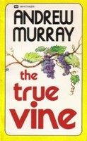 The True Vine (Paperback)