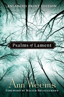 Psalms of Lament (Paperback)
