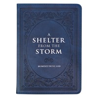 Shelter from the Storm, A (Imitation Leather)