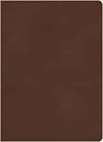 KJV Single-Column Wide-Margin Bible, Brown LeatherTouch (Imitation Leather)