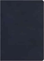 KJV Single-Column Wide-Margin Bible, Navy LeatherTouch (Imitation Leather)
