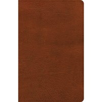 CSB Thinline Reference Bible, Burnt Sienna LeatherTouch (Imitation Leather)
