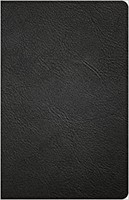 CSB Thinline Reference Bible, Black Genuine Leather, Indexed (Genuine Leather)