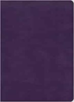 KJV Study Bible, Full-Color, Plum LeatherTouch, Indexed (Imitation Leather)