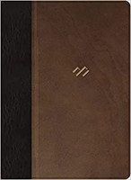 RVR 1960 Biblia temática de estudio, marrón oscuro/marrón pi (Imitation Leather)
