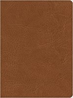 CSB He Reads Truth Bible, Saddle LeatherTouch, Indexed (Imitation Leather)