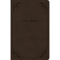 CSB Thinline Bible, Brown LeatherTouch, Value Edition (Imitation Leather)