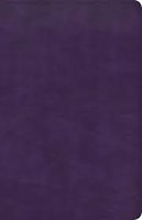 CSB Thinline Bible, Plum LeatherTouch (Imitation Leather)
