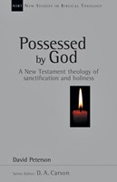 Possessed by God (Paperback)