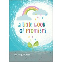 Little Book of Promises (Paperback)