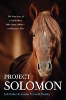 Project Solomon (Paperback)