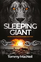 Sleeping Giant (Paperback)