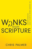 Winks from Scripture (Paperback)